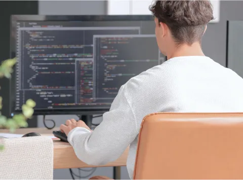 Web Design & Development